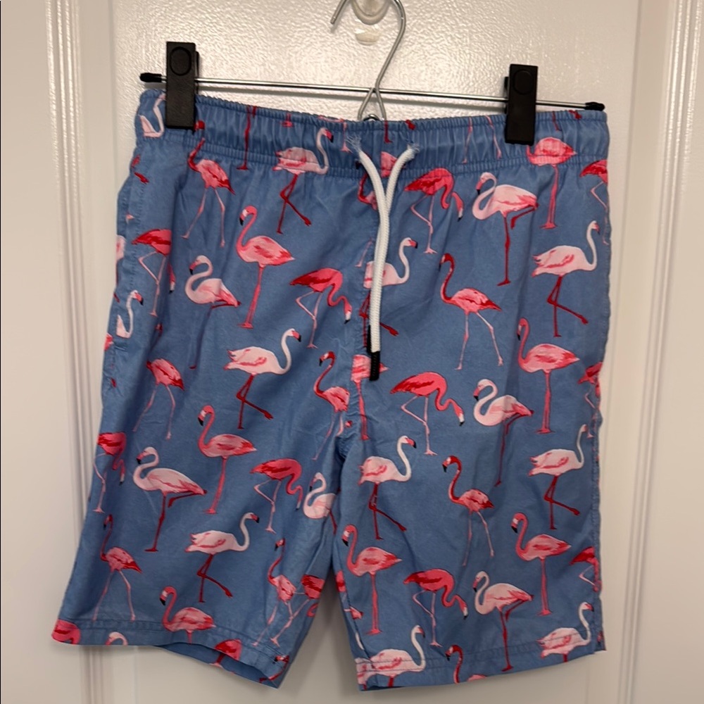 Amazon Blue and Pink Flamingo Swim Trunks